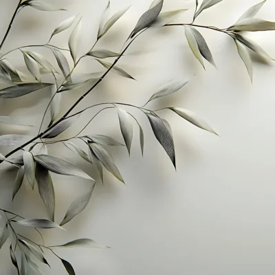 Fototapeta-Srebrne-Galazki-Silver-Branches-mini-master