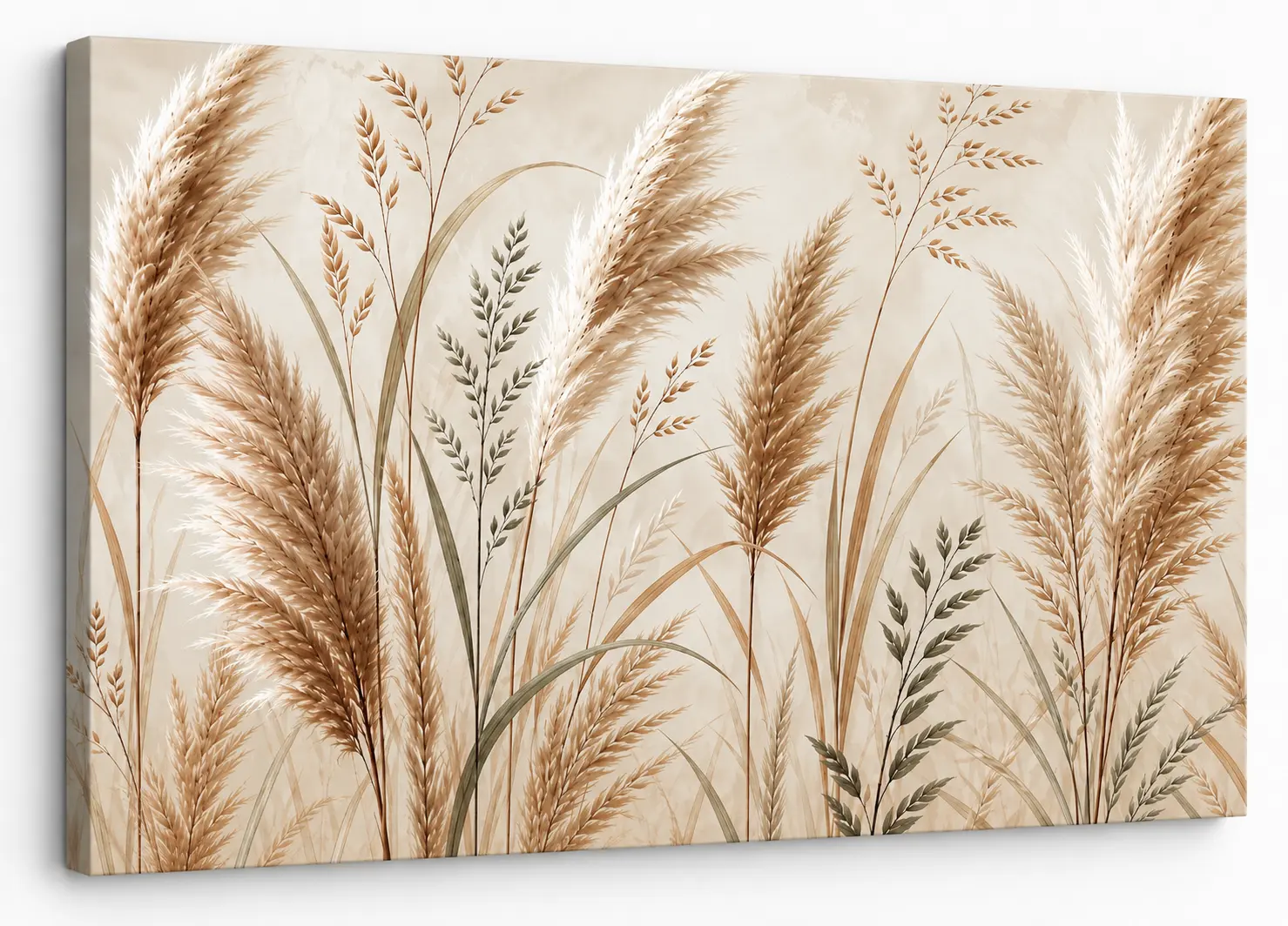 Obraz pampasy eleganckie premium poziomy 70 x 100 cm
