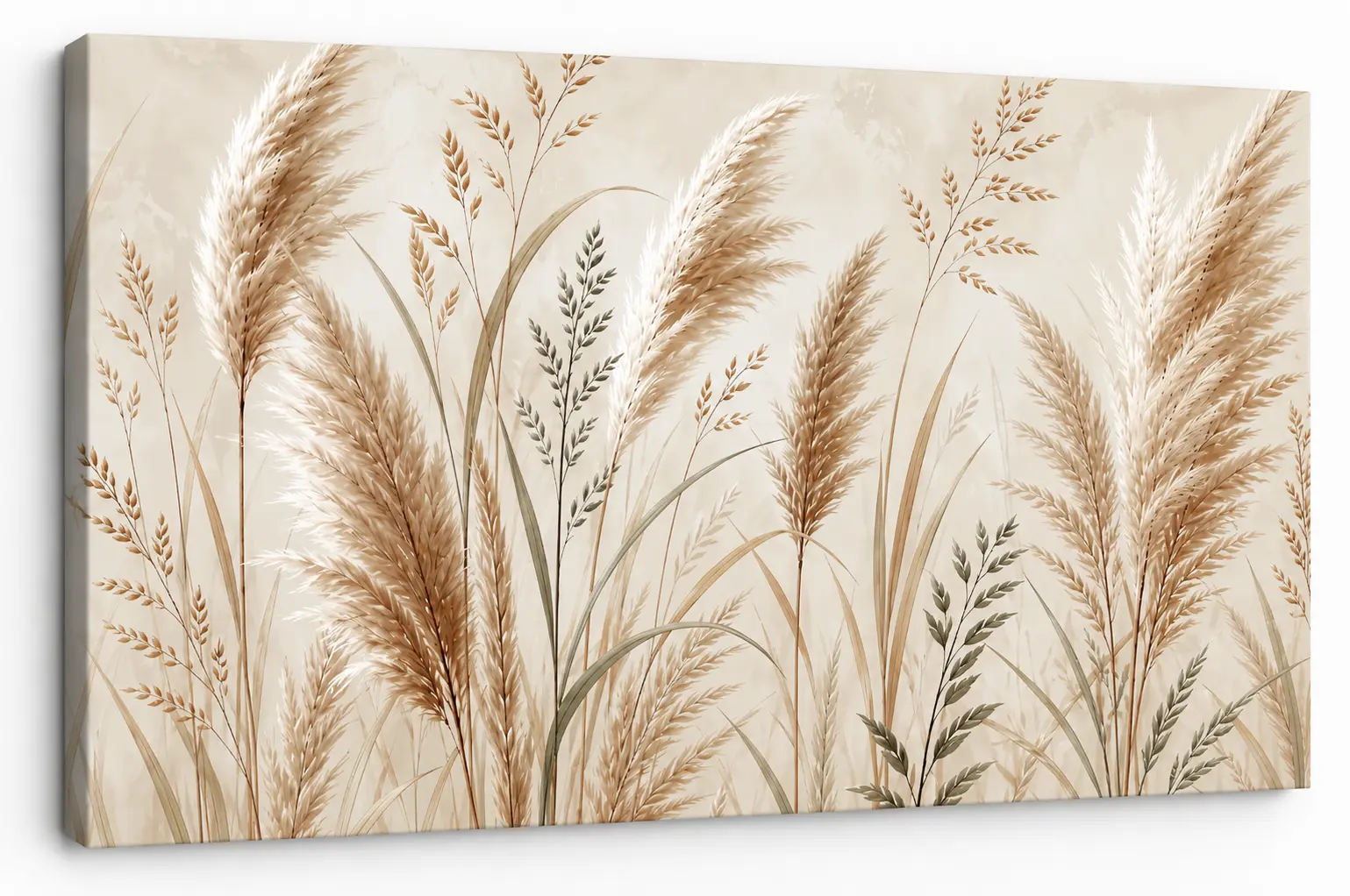 Obraz pampasy eleganckie premium poziomy 100 x 150 cm