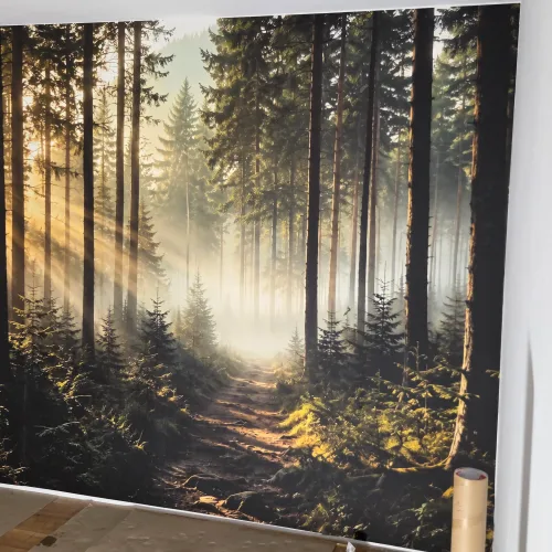 Realizacja fototapety Złoty Szlak Świtu – leśna ścieżka w promieniach porannego słońca
