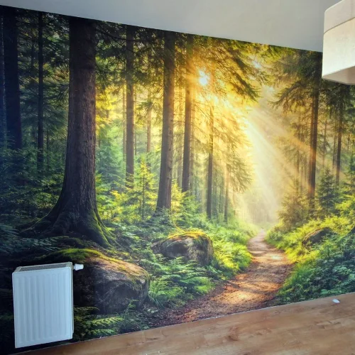 Realizacja fototapety leśna ścieżka ze światłem słonecznym w salonie